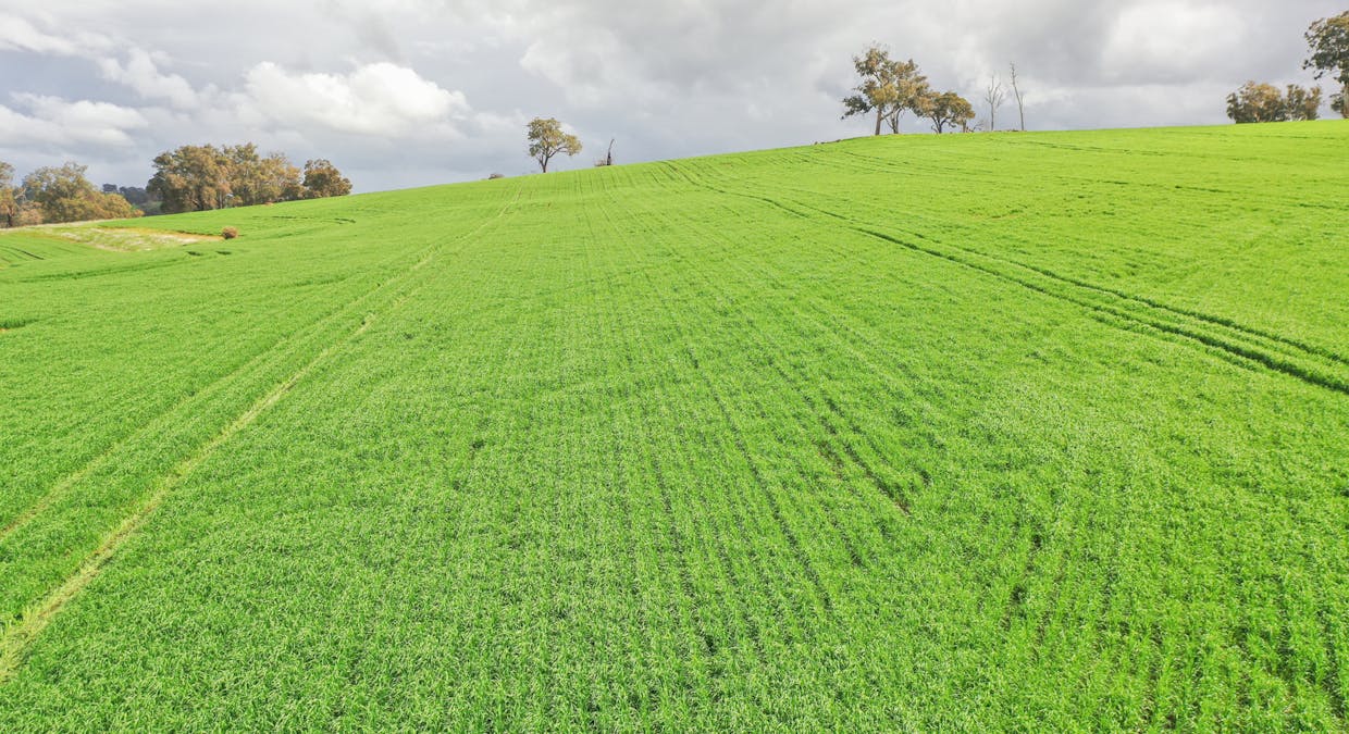 Lots 1566  Boyup Brook-Arthur Road, Dinninup, WA, 6244 - Image 3