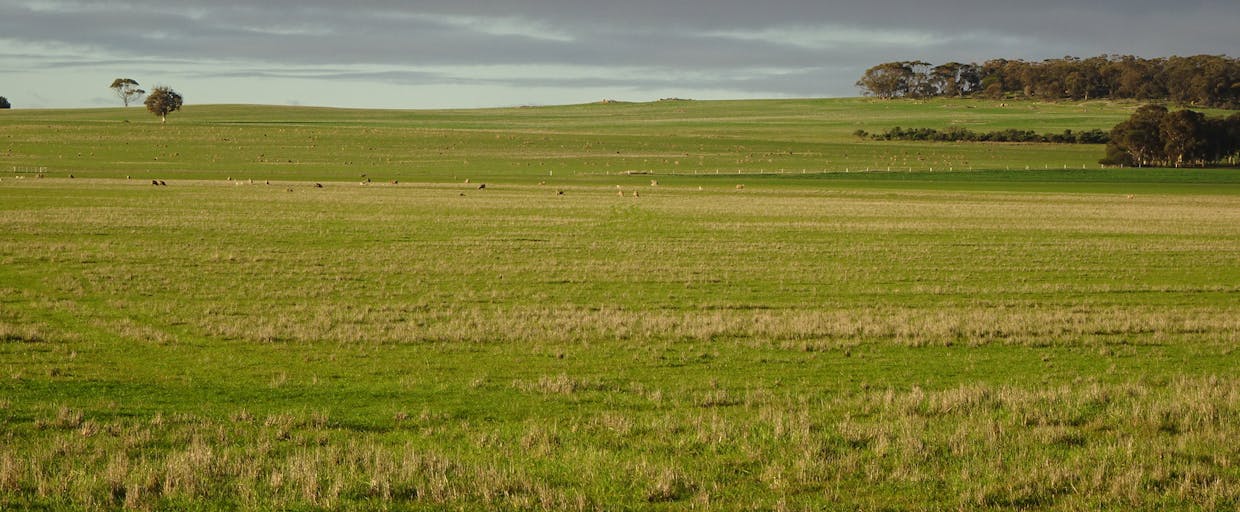 Lot 12520 Great Southern Highway, Woodanilling, WA, 6316 - Image 3