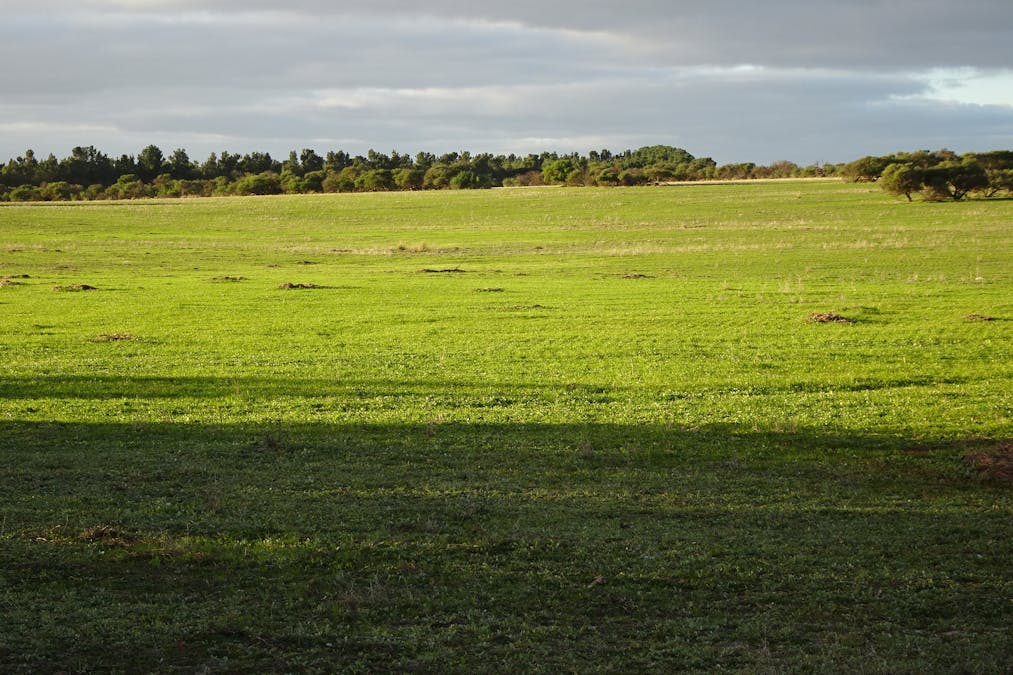 Lot 12520 Great Southern Highway, Woodanilling, WA, 6316 - Image 12