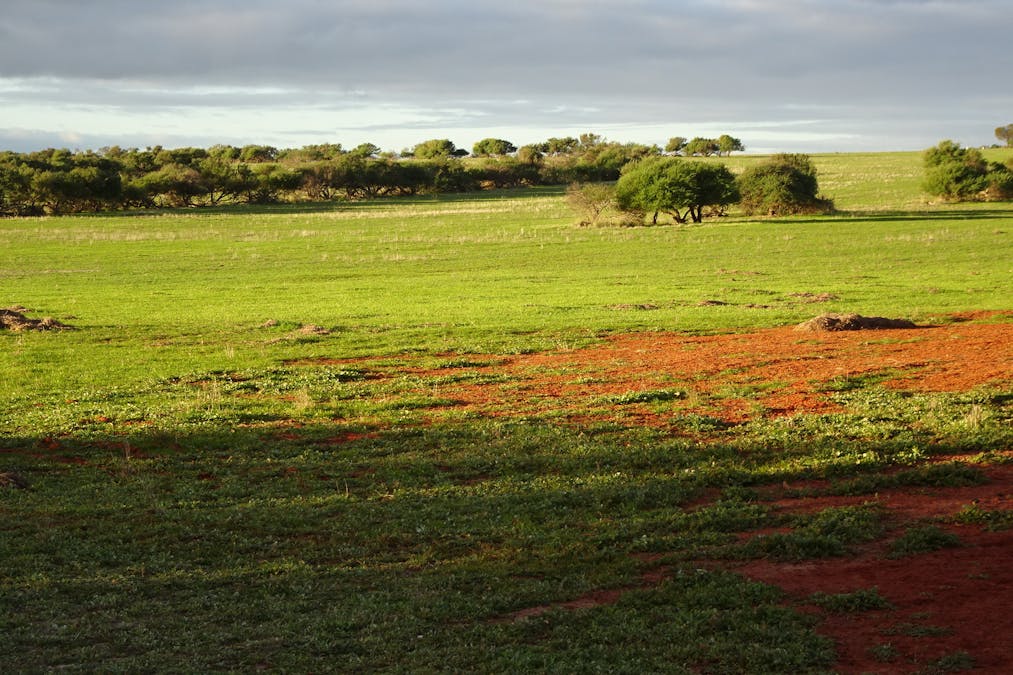 Lot 12520 Great Southern Highway, Woodanilling, WA, 6316 - Image 14