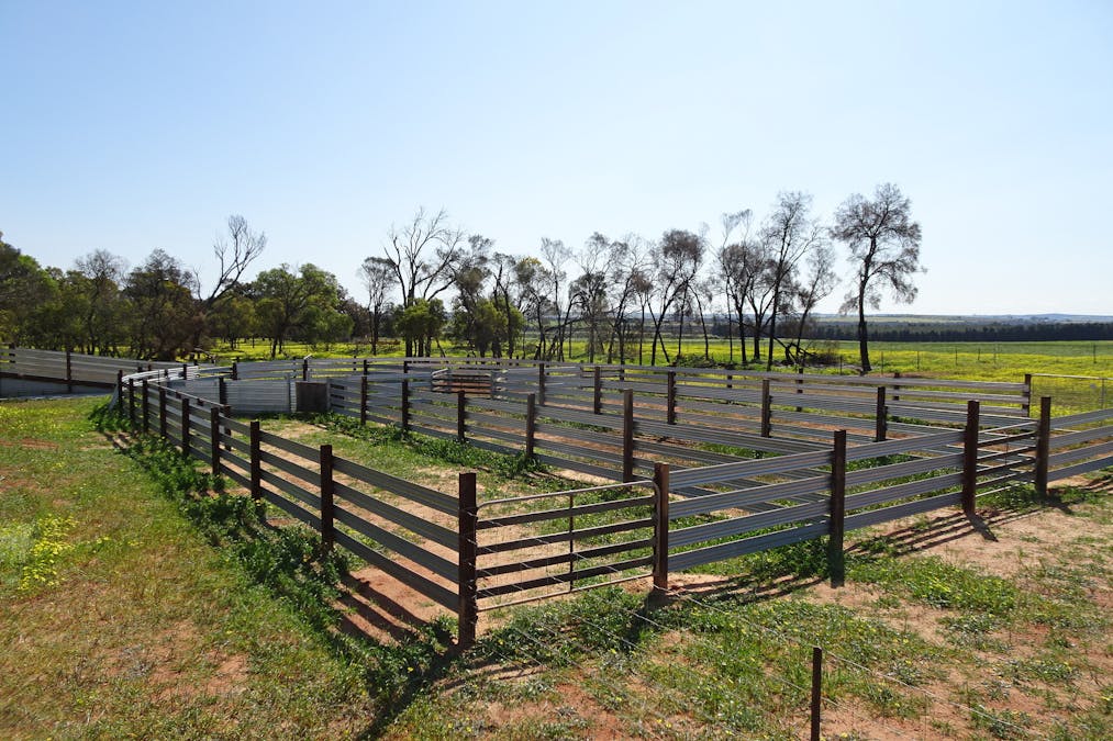 Lot 12520 Great Southern Highway, Woodanilling, WA, 6316 - Image 16