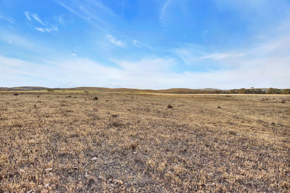 Baldon Road, Truro, SA, 5356 - Image 8