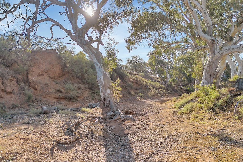 Baldon Road, Truro, SA, 5356 - Image 9