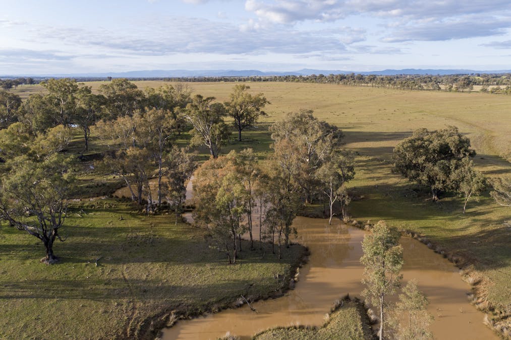 Bartons Lane, Duri, NSW, 2344 - Image 4
