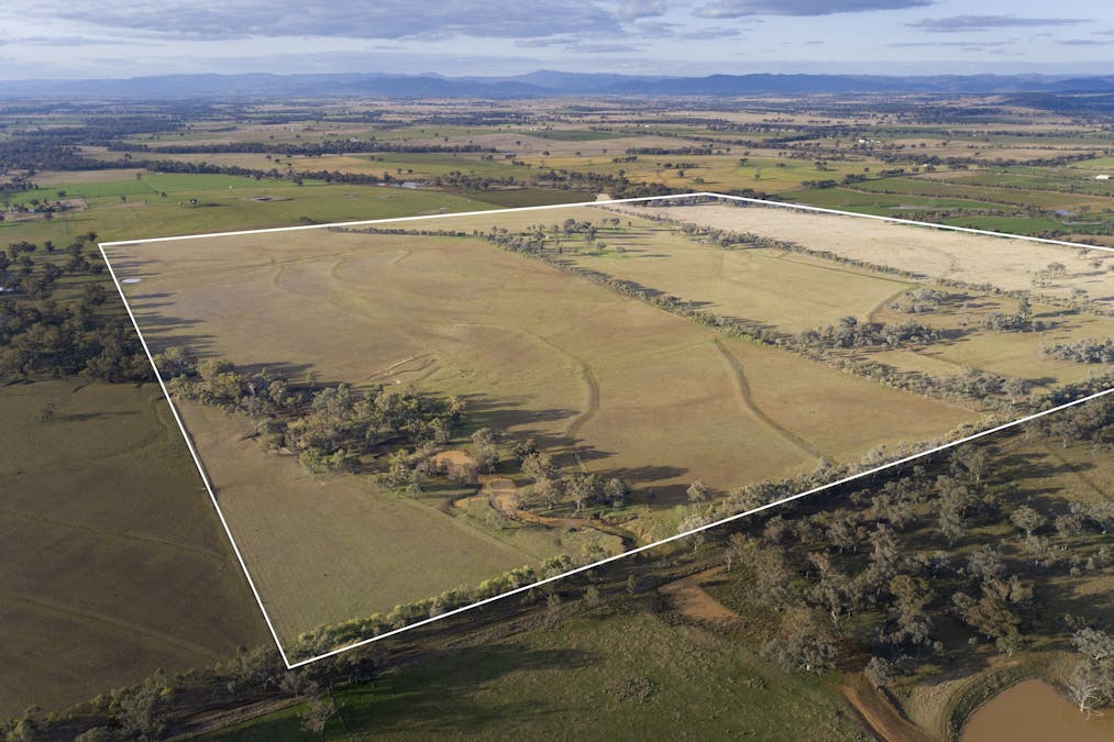 Bartons Lane, Duri, NSW, 2344 - Image 3