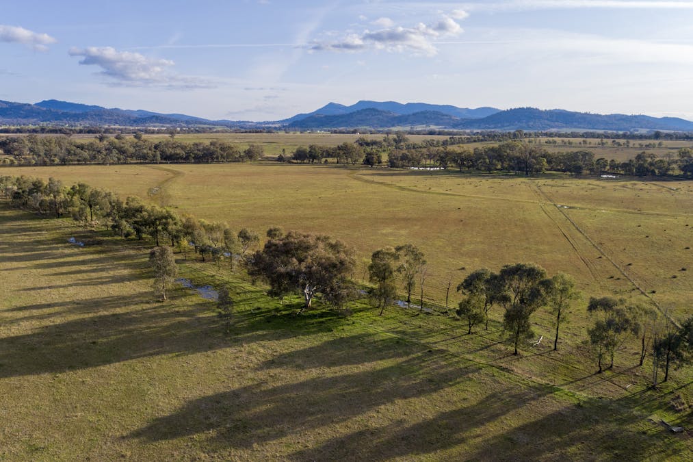 Bartons Lane, Duri, NSW, 2344 - Image 5