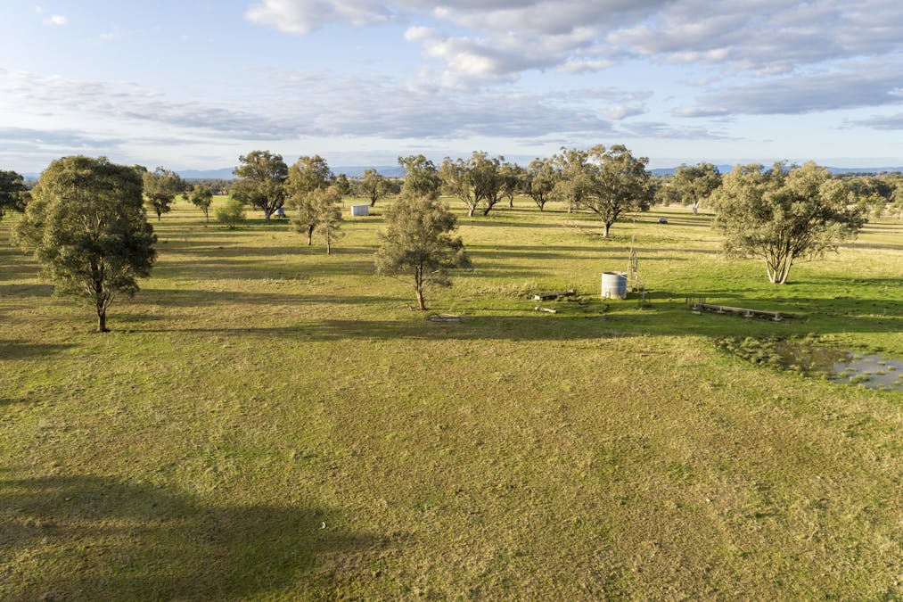 Bartons Lane, Duri, NSW, 2344 - Image 6