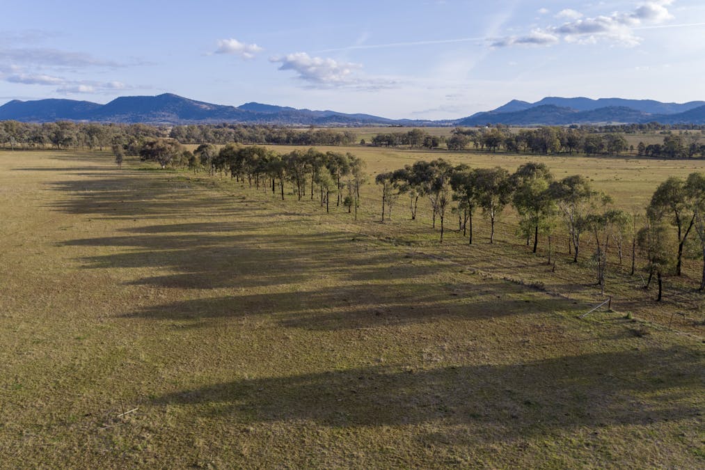 Bartons Lane, Duri, NSW, 2344 - Image 7