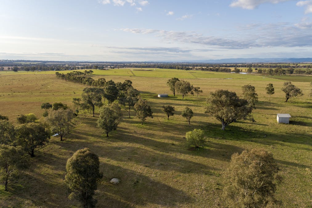 Bartons Lane, Duri, NSW, 2344 - Image 8