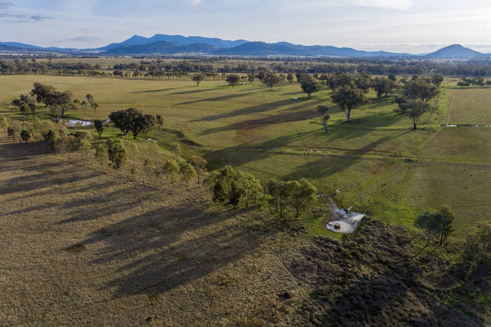 Bartons Lane, Duri, NSW, 2344 - Image 9