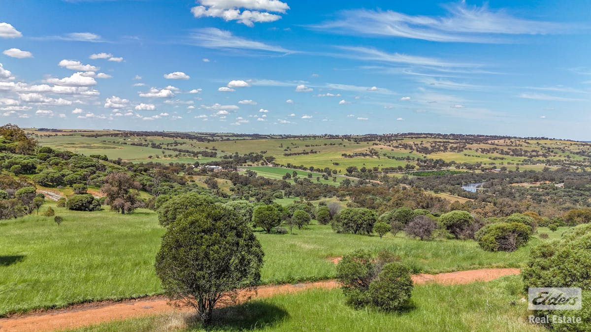 131 Nockdominie Road, Dumbarton, WA, 6566 - Image 4