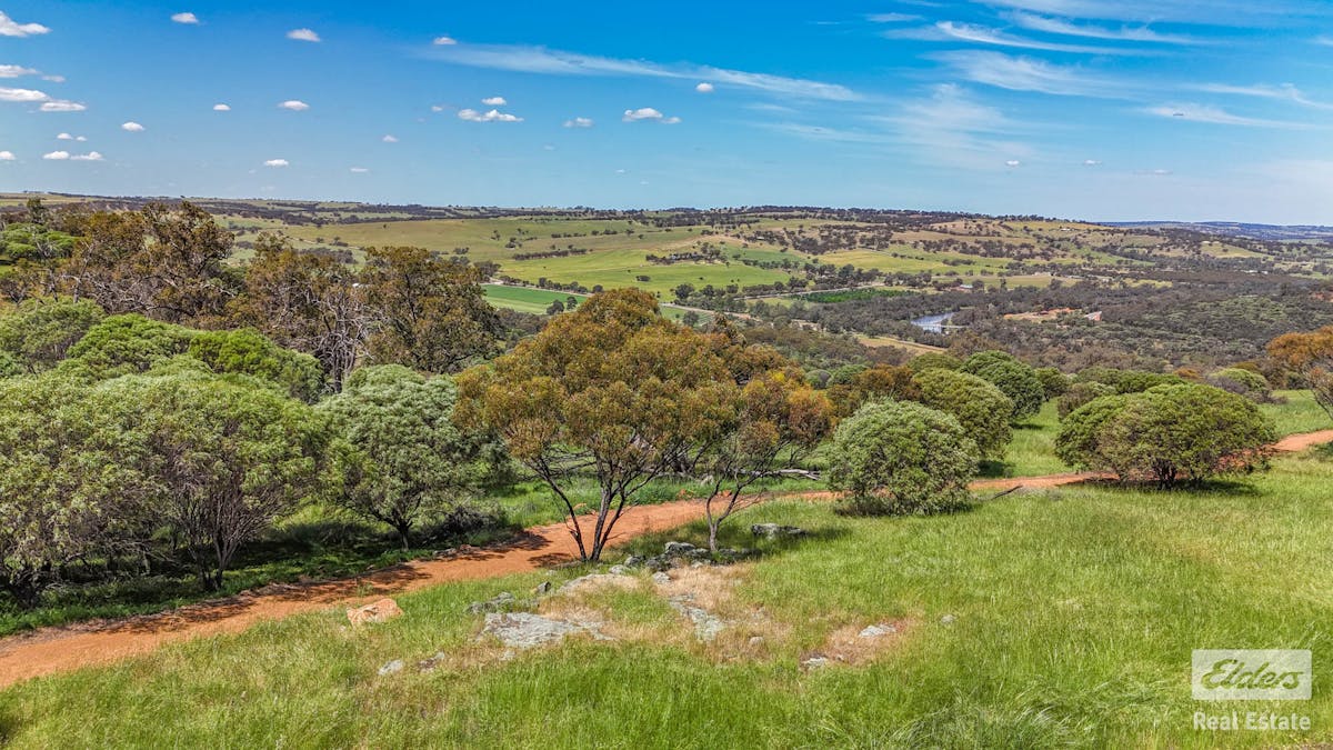 131 Nockdominie Road, Dumbarton, WA, 6566 - Image 15