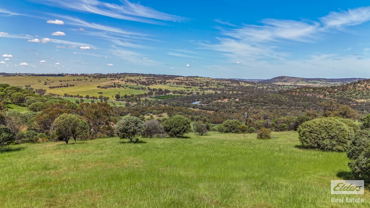 131 Nockdominie Road, Dumbarton, WA, 6566 - Image 1
