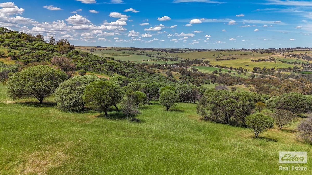 131 Nockdominie Road, Dumbarton, WA, 6566 - Image 17