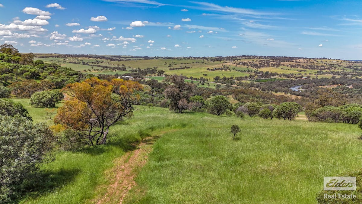 131 Nockdominie Road, Dumbarton, WA, 6566 - Image 18