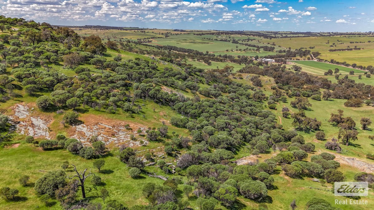 131 Nockdominie Road, Dumbarton, WA, 6566 - Image 21