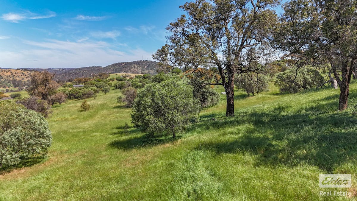 131 Nockdominie Road, Dumbarton, WA, 6566 - Image 8