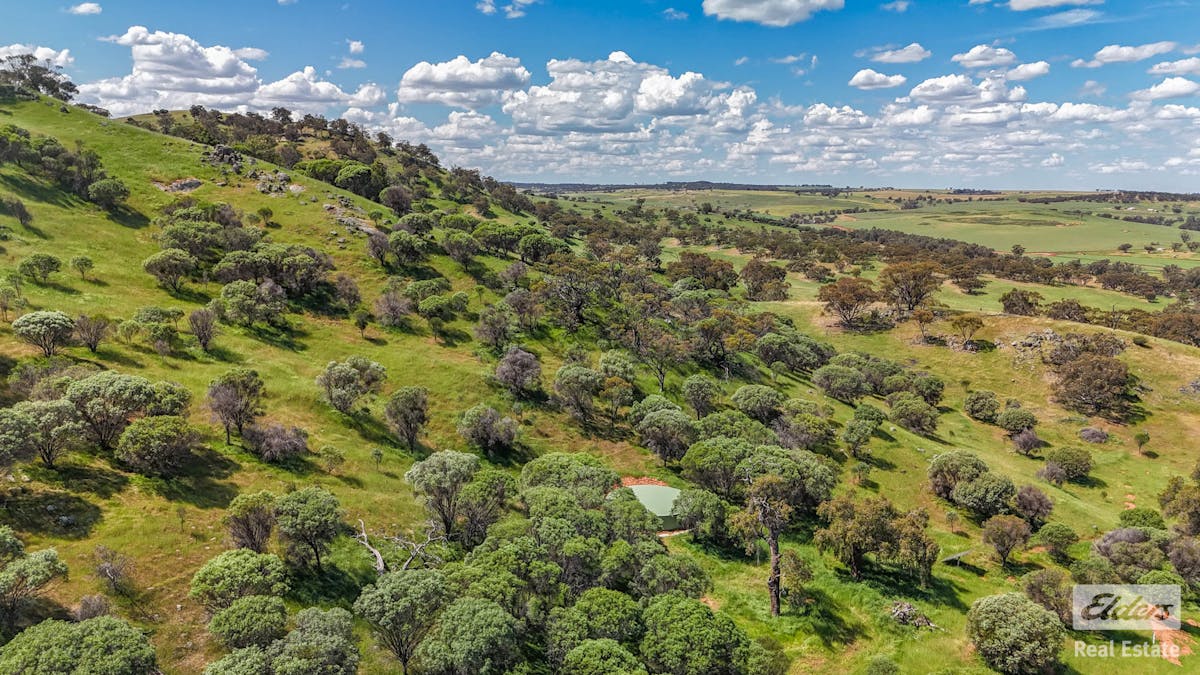 131 Nockdominie Road, Dumbarton, WA, 6566 - Image 10