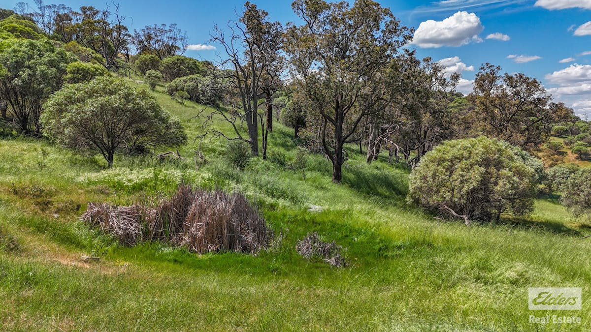 131 Nockdominie Road, Dumbarton, WA, 6566 - Image 7