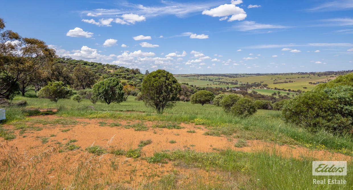 131 Nockdominie Road, Dumbarton, WA, 6566 - Image 22