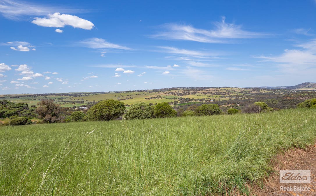 131 Nockdominie Road, Dumbarton, WA, 6566 - Image 23