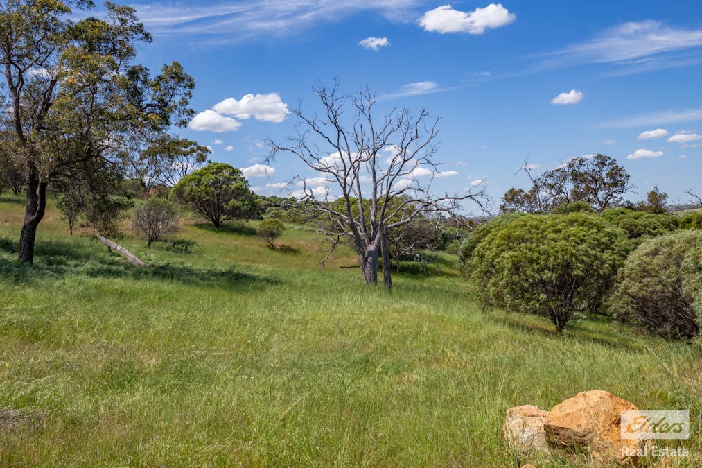 131 Nockdominie Road, Dumbarton, WA, 6566 - Image 24