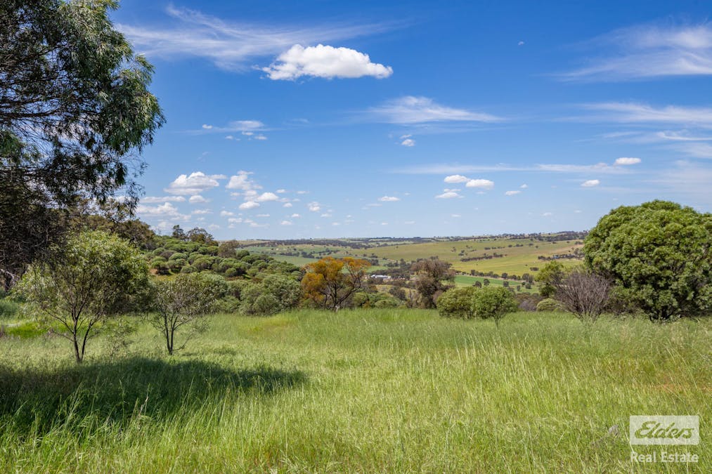 131 Nockdominie Road, Dumbarton, WA, 6566 - Image 25