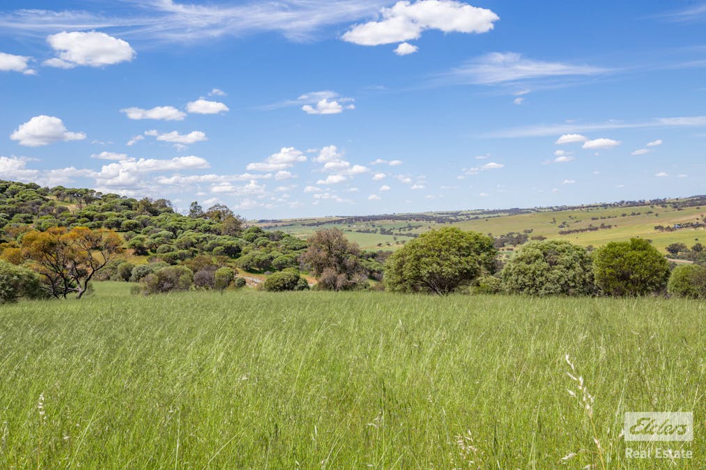 131 Nockdominie Road, Dumbarton, WA, 6566 - Image 26