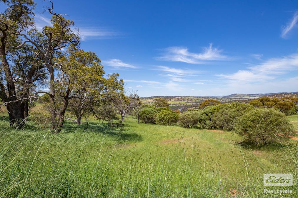 131 Nockdominie Road, Dumbarton, WA, 6566 - Image 28