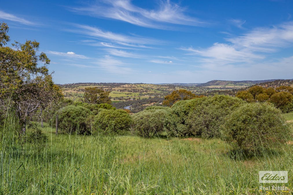 131 Nockdominie Road, Dumbarton, WA, 6566 - Image 9
