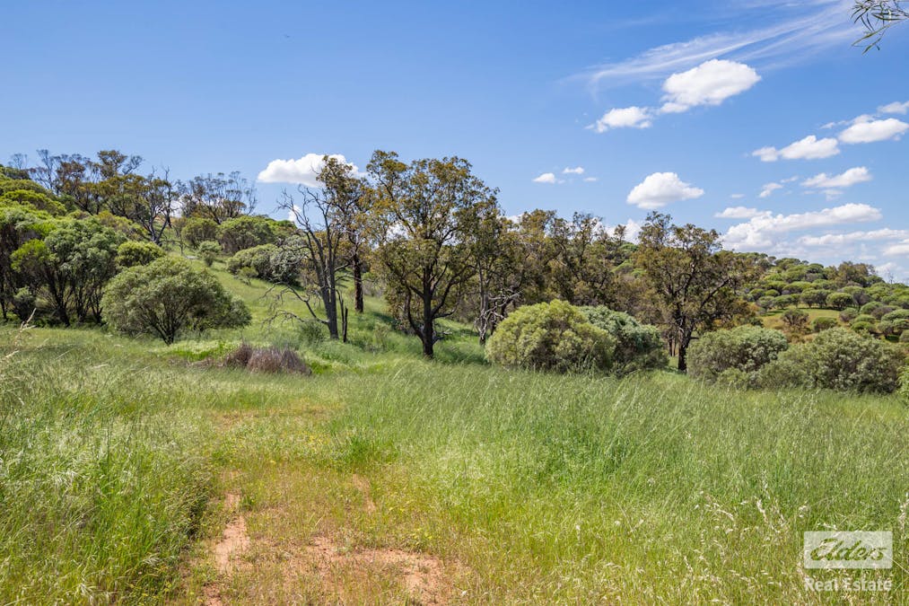 131 Nockdominie Road, Dumbarton, WA, 6566 - Image 29