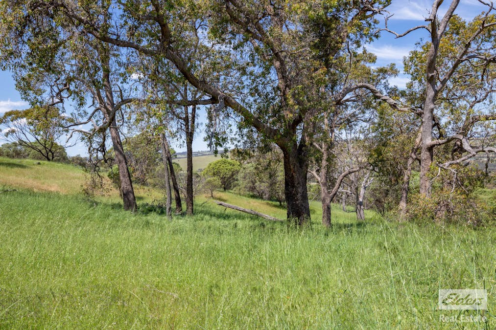 131 Nockdominie Road, Dumbarton, WA, 6566 - Image 30