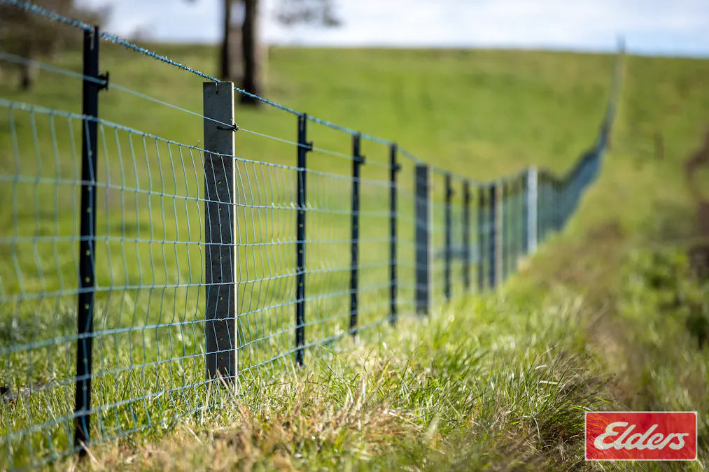 1444 Greenhills Road, Guyra, NSW, 2365 - Image 16