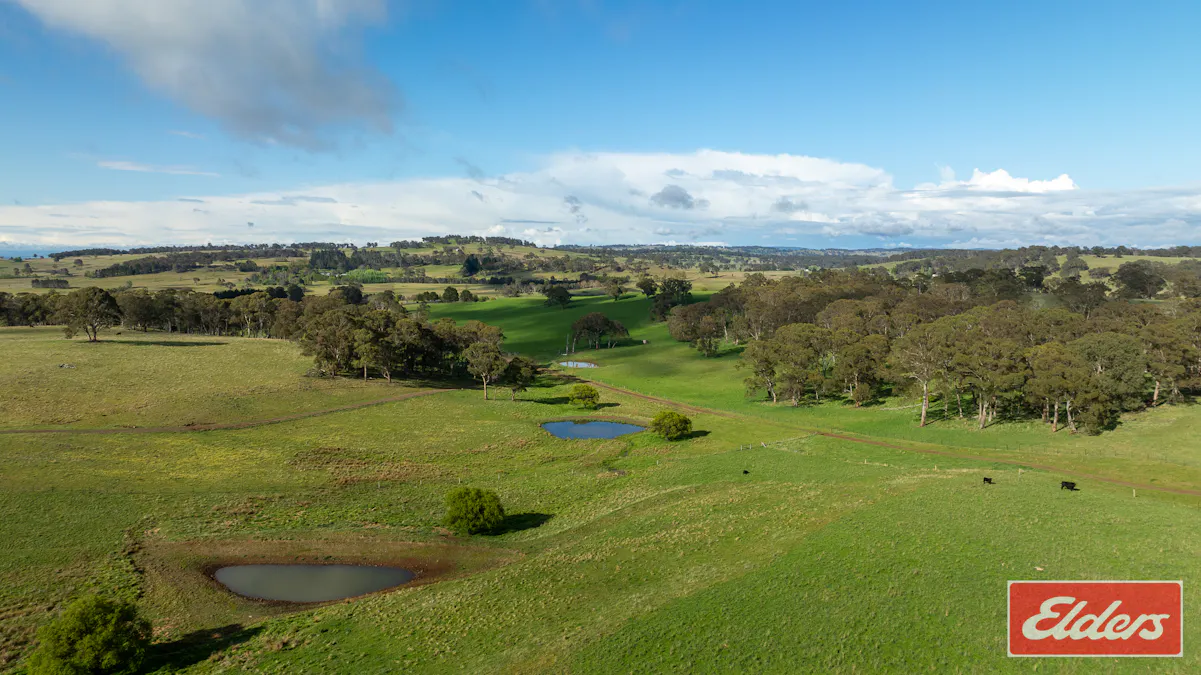 1444 Greenhills Road, Guyra, NSW, 2365 - Image 19