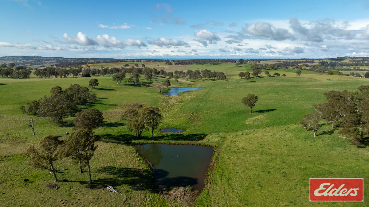 1444 Greenhills Road, Guyra, NSW, 2365 - Image 3