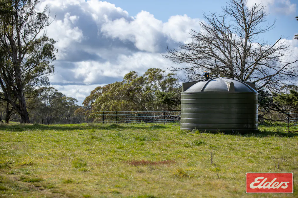 1444 Greenhills Road, Guyra, NSW, 2365 - Image 21