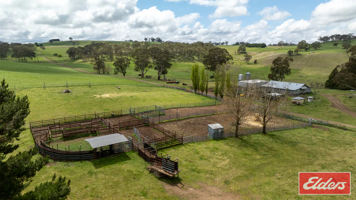 1444 Greenhills Road, Guyra, NSW, 2365 - Image 30