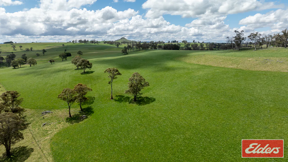 1444 Greenhills Road, Guyra, NSW, 2365 - Image 31