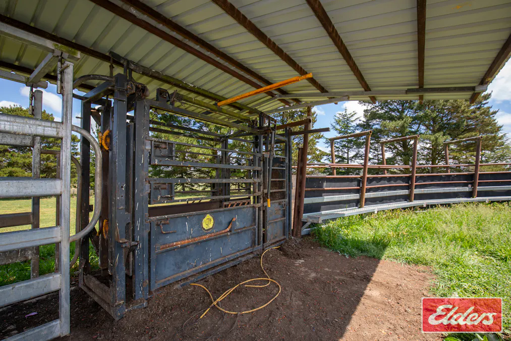 1444 Greenhills Road, Guyra, NSW, 2365 - Image 33