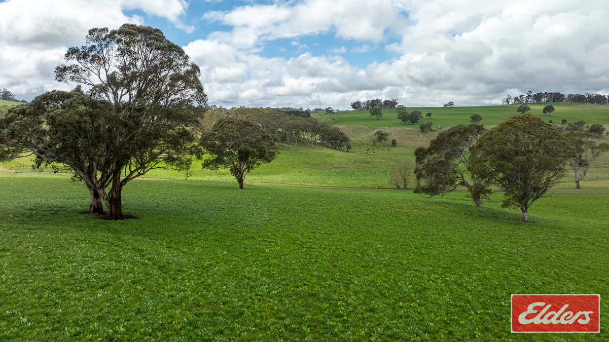 1444 Greenhills Road, Guyra, NSW, 2365 - Image 2