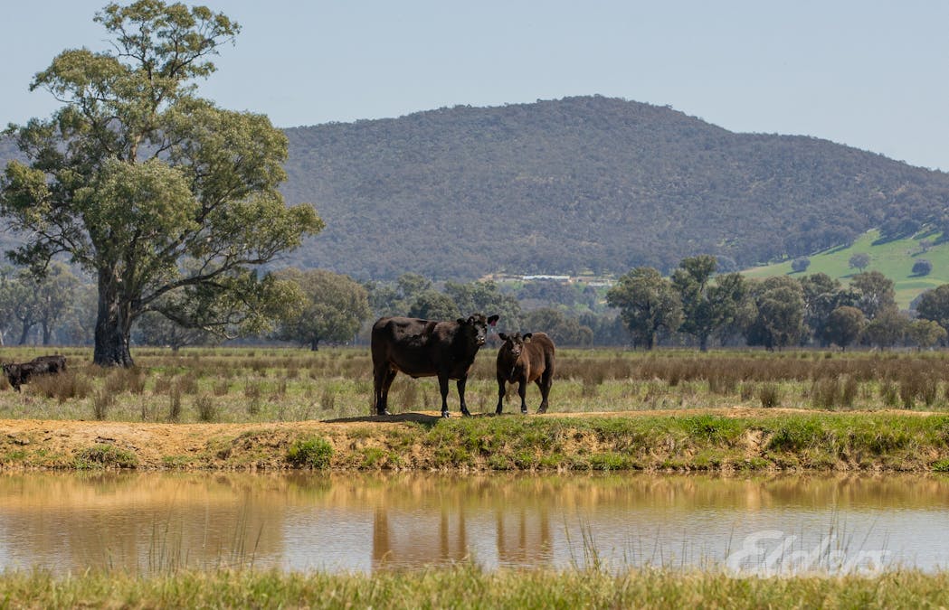 23 Twamleys Lane, Laceby, VIC, 3678 - Image 7
