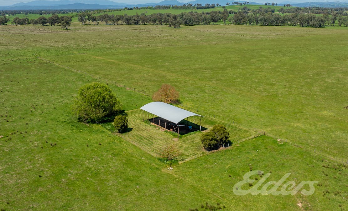 23 Twamleys Lane, Laceby, VIC, 3678 - Image 9
