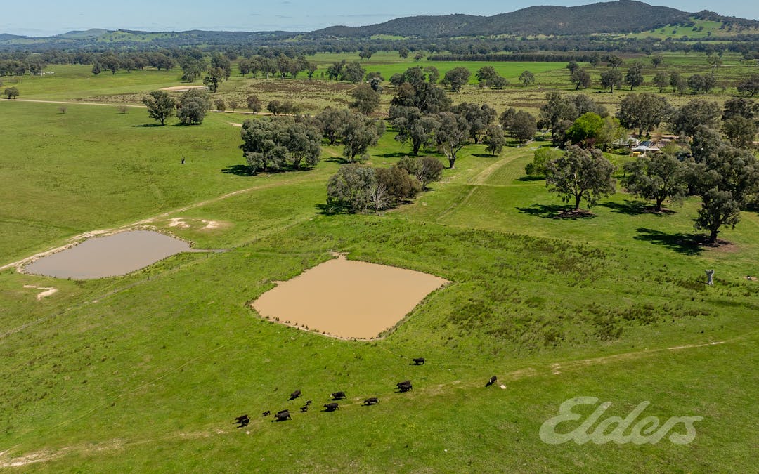 23 Twamleys Lane, Laceby, VIC, 3678 - Image 10