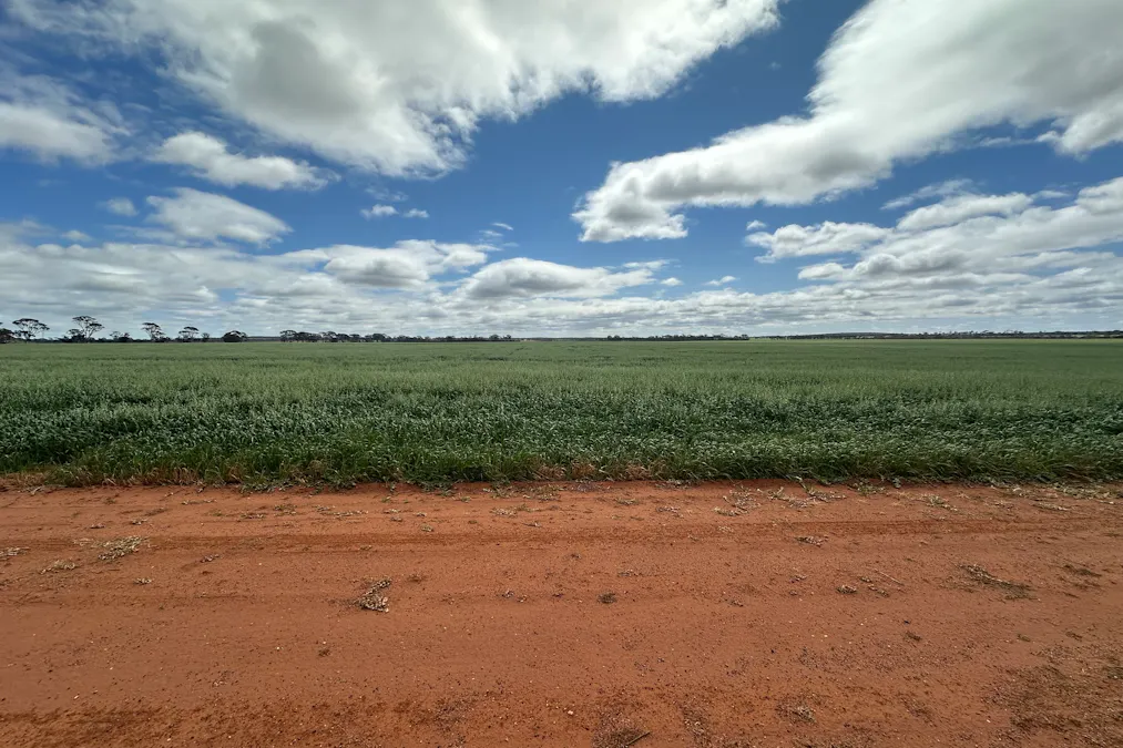 3279 Calzoni Road, Hyden, WA, 6359 - Image 18