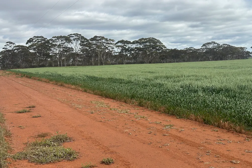 3279 Calzoni Road, Hyden, WA, 6359 - Image 22