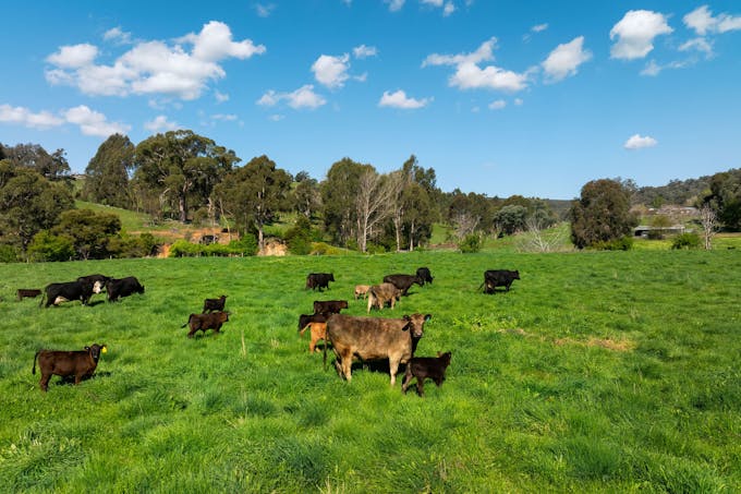 315 Davies Road, Warrenbayne, VIC, 3670 - Image 1