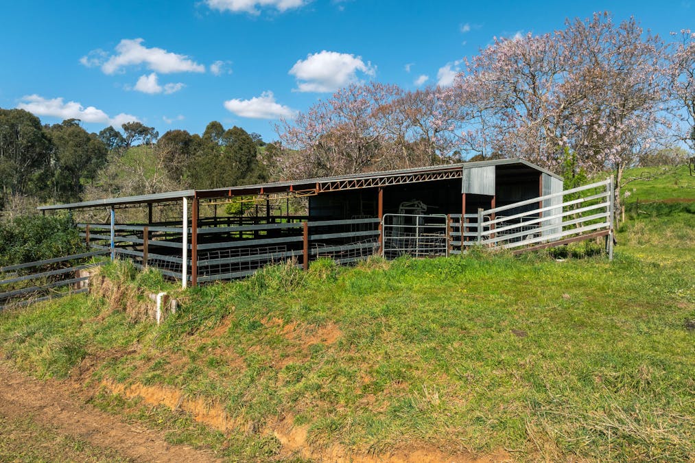 315 Davies Road, Warrenbayne, VIC, 3670 - Image 14