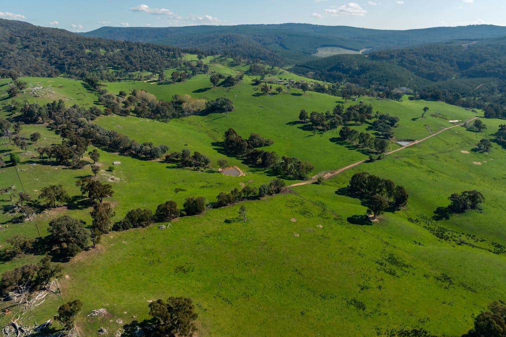 315 Davies Road, Warrenbayne, VIC, 3670 - Image 3