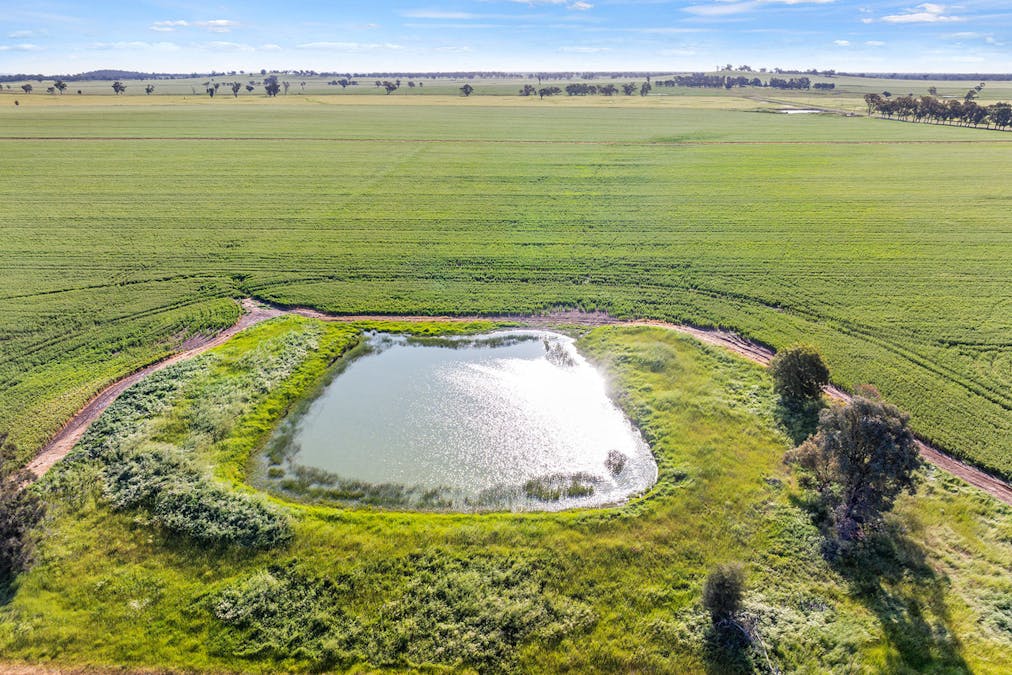 1510 Weedallion Road, Young, NSW, 2594 - Image 10
