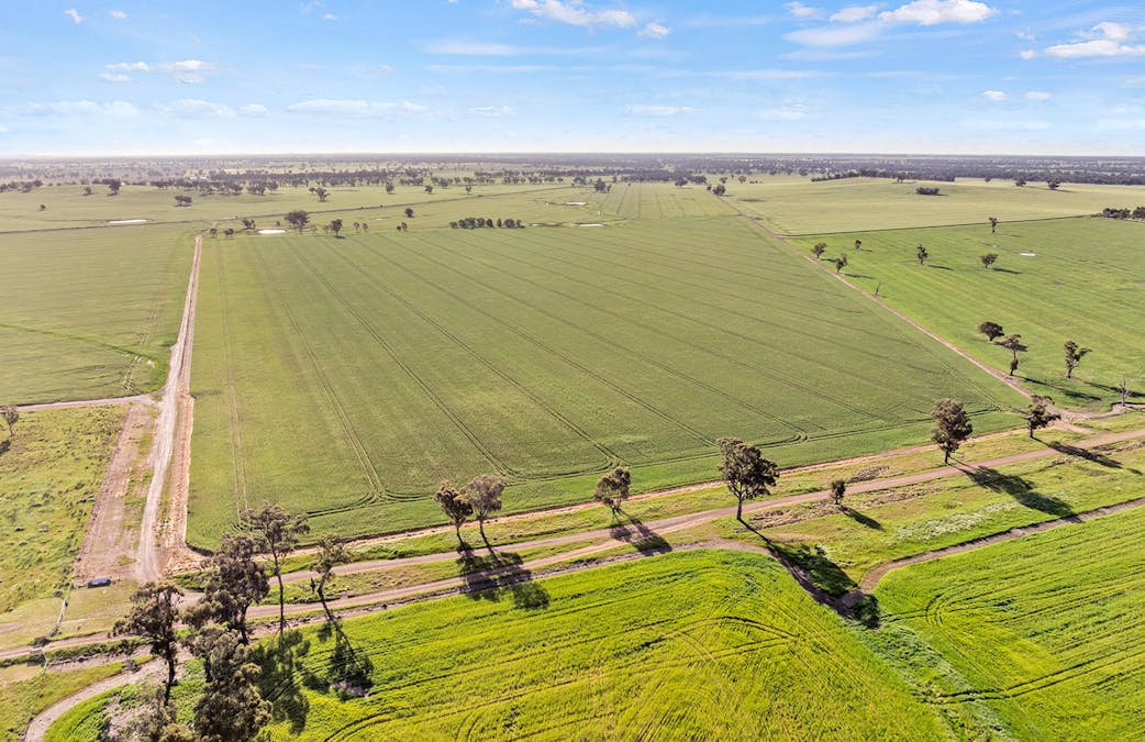 1510 Weedallion Road, Young, NSW, 2594 - Image 14